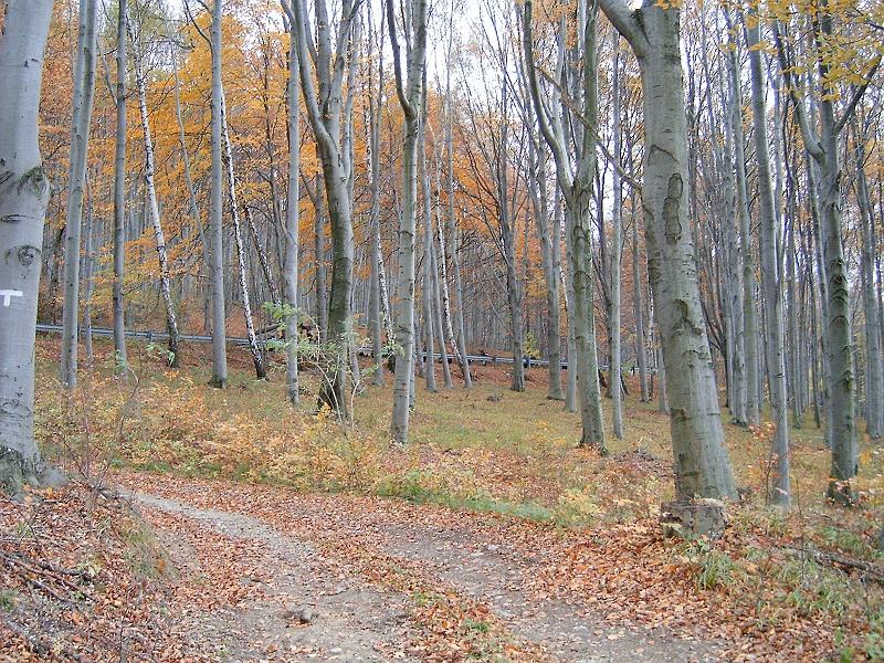 20101023 051.jpg